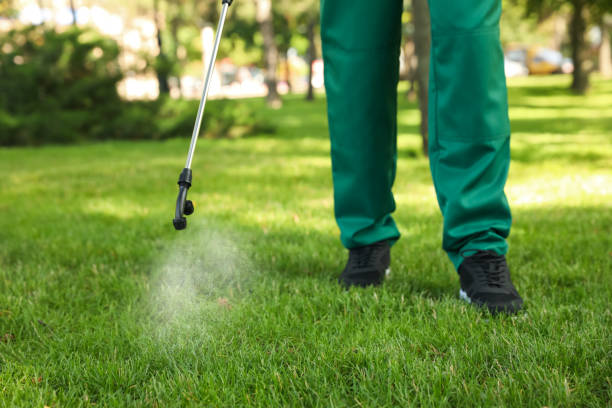 Best Spider Control Near Me  in Alpharetta, GA