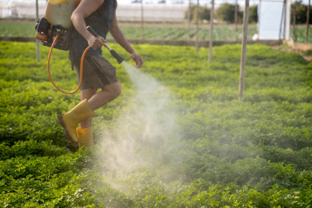 Best Best Pest Control Companies  in Alpharetta, GA