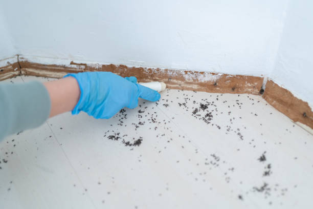 Best Bed Bug Extermination  in Alpharetta, GA