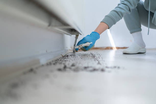 Best Wasp Removal Services  in Alpharetta, GA
