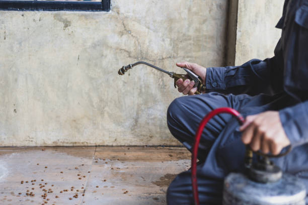 Best Exterminator Services  in Alpharetta, GA